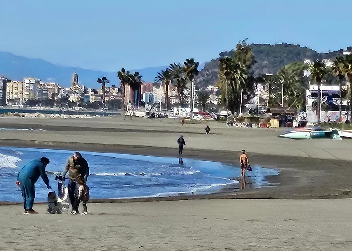 Sunny Atico Boliches Lejlighed *