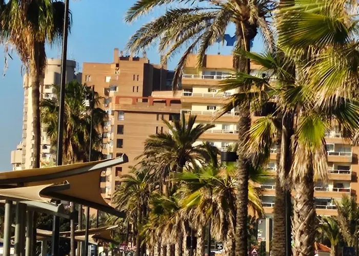 Sunny Atico Boliches