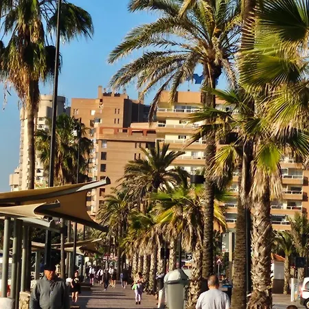 Sunny Atico Boliches